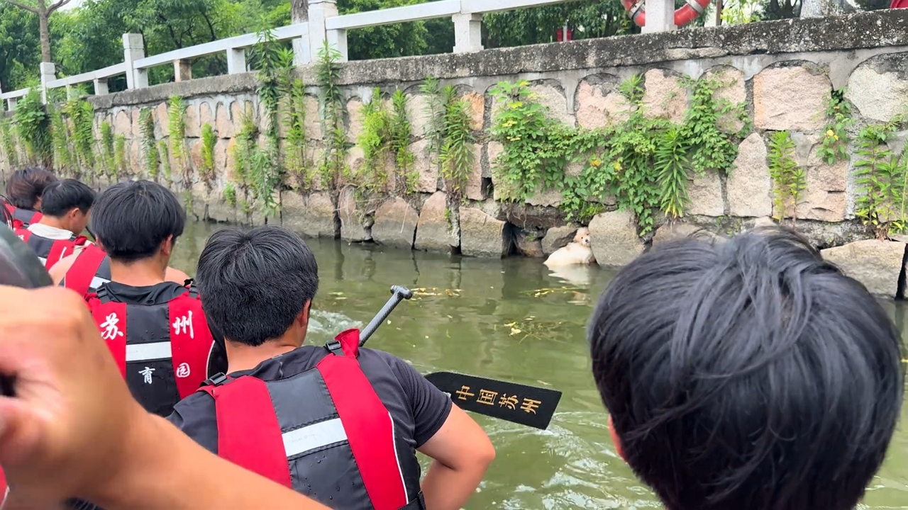 Video thumbnail for Dragon Boat Crew Saves Dog Trapped by River in Jiangsu