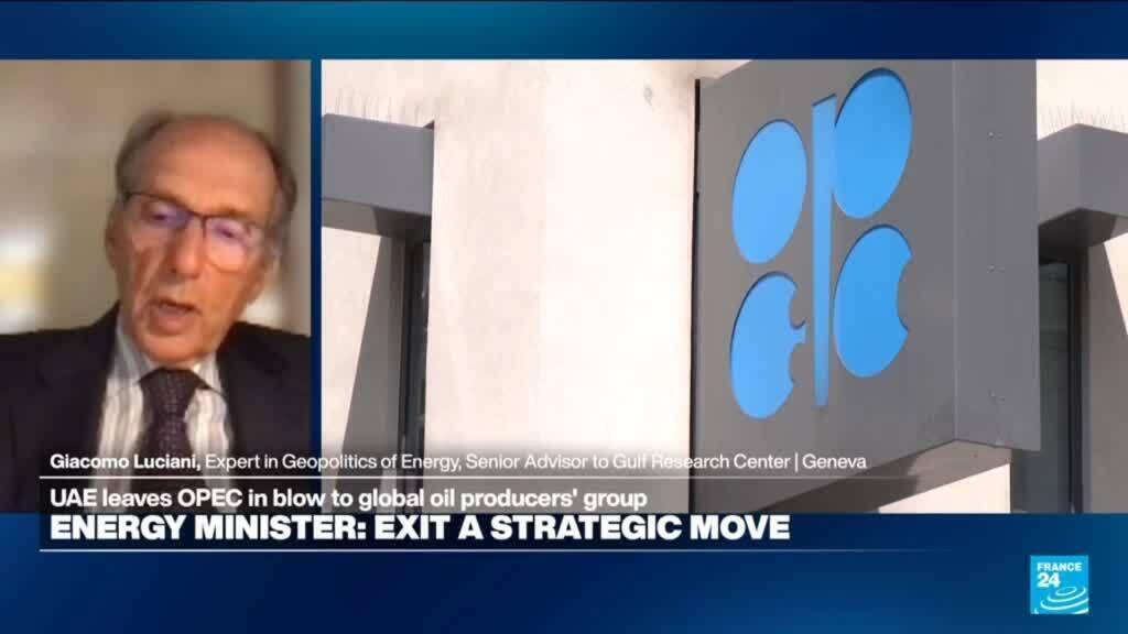 Video thumbnail for UAE OPEC departure 'a manifestation of dissatisfaction vis à vis Saudi Arabia', expert says