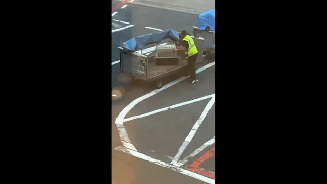 Video thumbnail for Airport Staff Gently Handles Dog at Amsterdam Schiphol