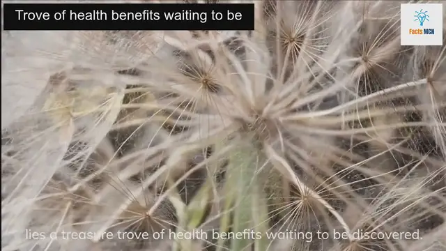 Video thumbnail for Surprising Ways Dandelions Change Your Body When You Eat Them