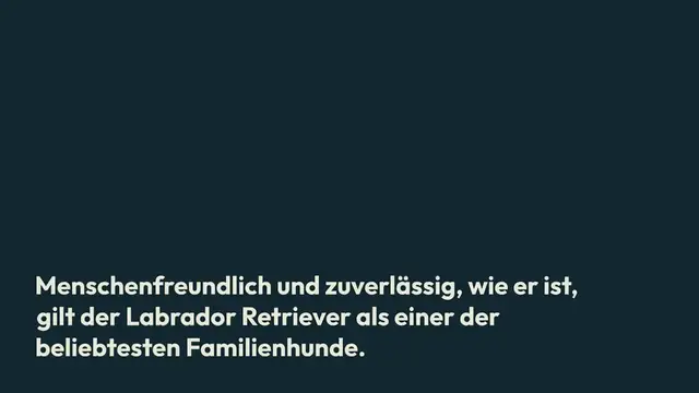 Video thumbnail for Labrador Retriever – Charakter, Aussehen, Haltung
