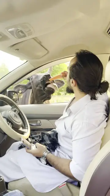 Video thumbnail for Sharing Fresh Veggies with Stray Cows in Delhi Streets