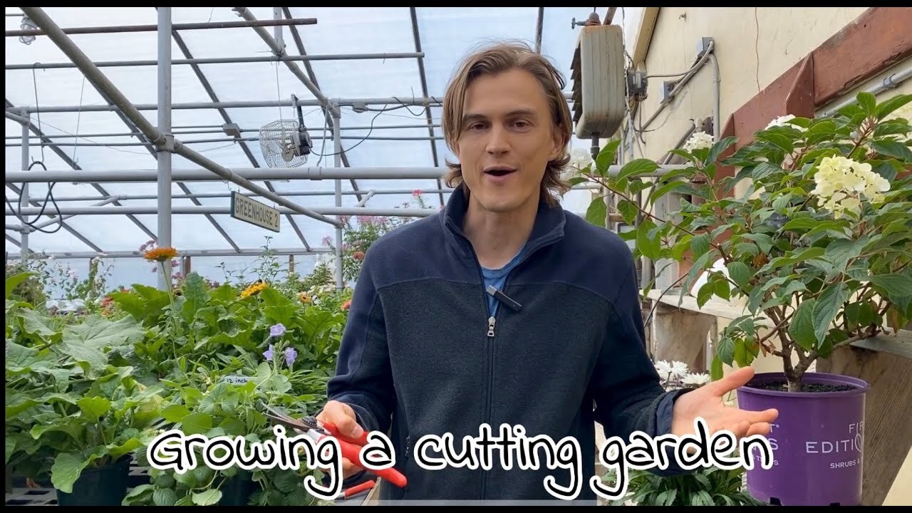 Video thumbnail for Growing Plants for a Cutting Garden