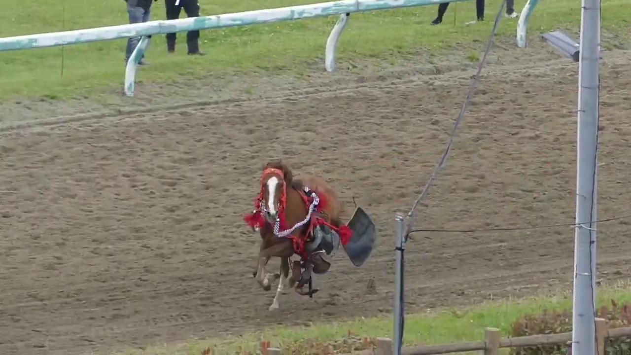 Video thumbnail for Japan: Horse Breaks Loose at Traditional Soma Nomaoi Festival in Fukushima, Injuring Six.