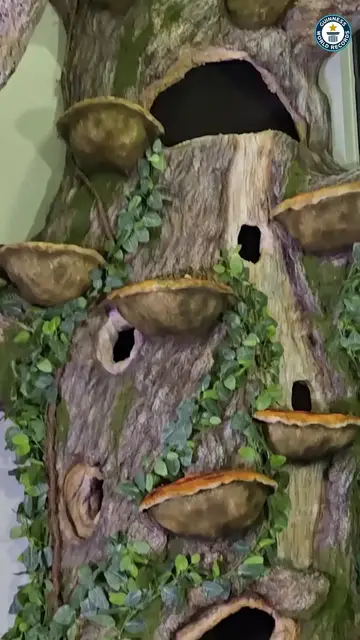 'Video thumbnail for Tallest residential cat-scratching tree - 4.9m (16 ft 1 in) by Will Powers'