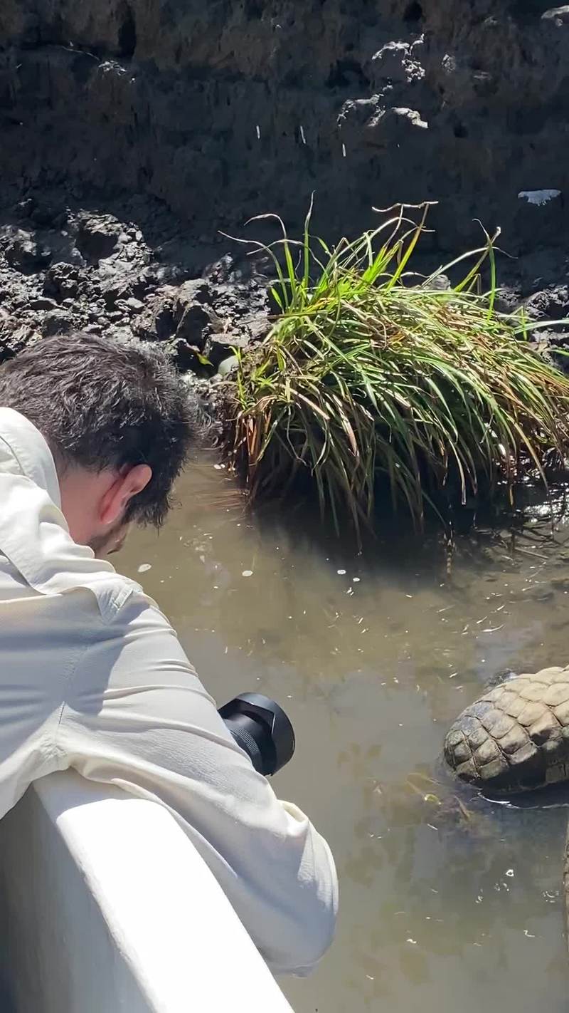 Video thumbnail for Crocodile Eye Awakens on Costa Rica Riverbank