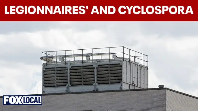 Video thumbnail for Doctor explains rising New York Legionnaires' disease and cyclospora outbreaks