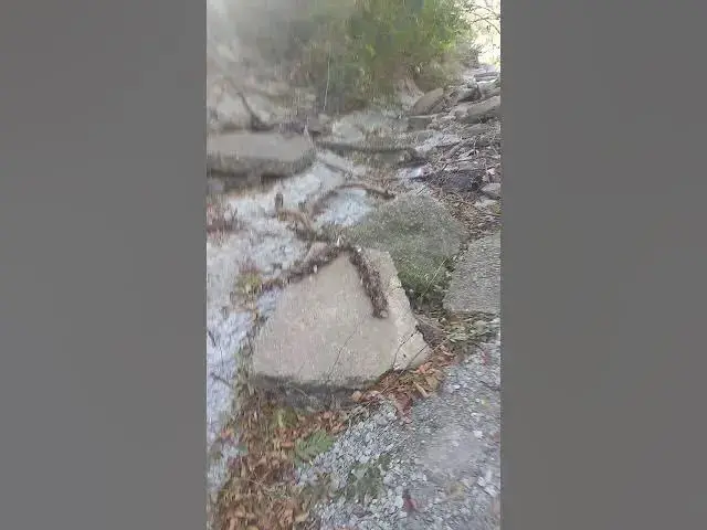 'Video thumbnail for Kids at the park exploring the creek.'
