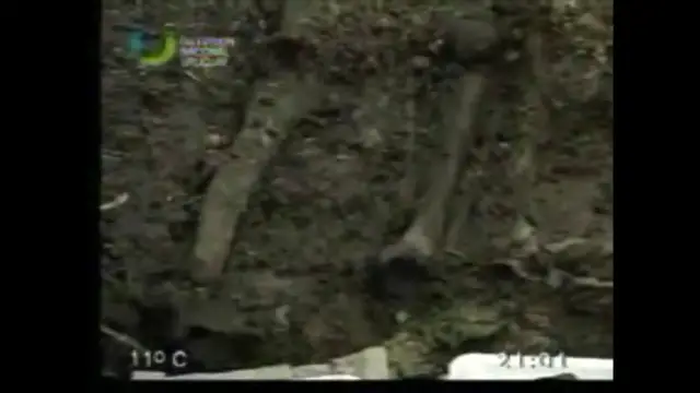 'Video thumbnail for Elena Quintero: La Libertad en América Latina'