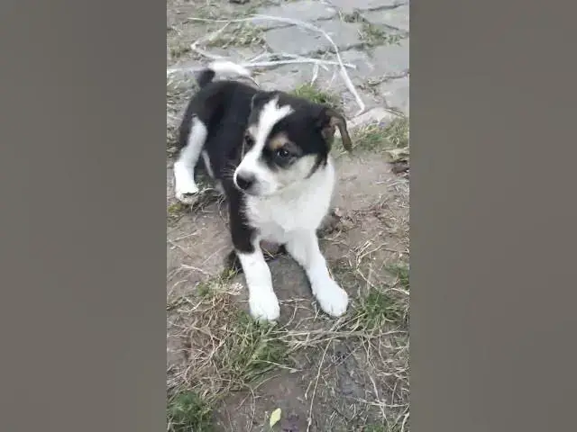 Video thumbnail for #motivation