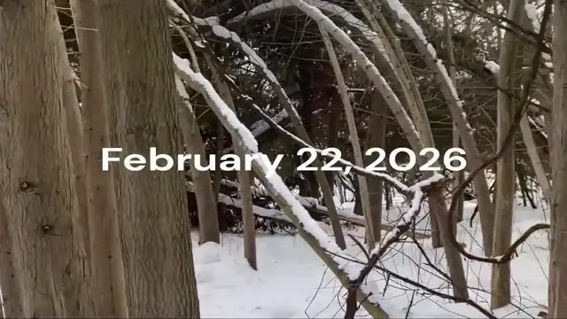 Video thumbnail for Reflexive Inquiry and Métissage video