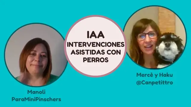 'Video thumbnail for Intervenciones asistidas con PERROS (IAA) ?'