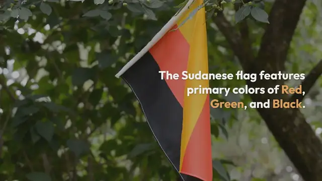 Video thumbnail for Sudan Flag Colors