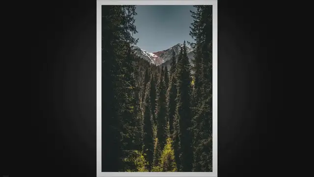 Video thumbnail for Forest and Natural Resources: The Beauty, Importance, and Protection of Forests