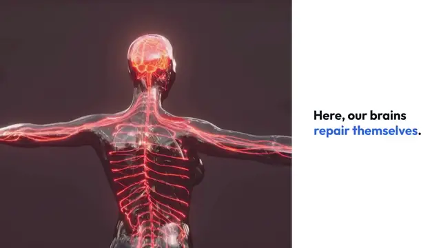 Video thumbnail for Sleep's Role in Brain Health