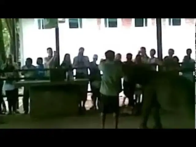 Video thumbnail for Pinnawala Elephant Orphanage Feeding Time