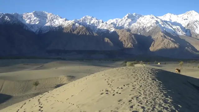 'Video thumbnail for PAKISTANI MOUNTAIN FOOD - Eating YAK RIBS in One of the World's HIGHEST Deserts (+2200m)'