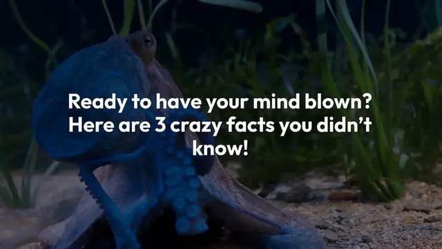 'Video thumbnail for 3 Crazy Facts That Will Blow Your Mind - You Won’t Believe'