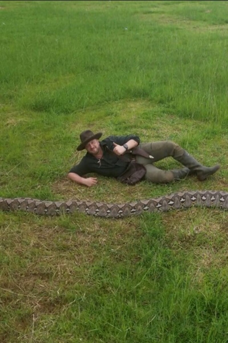 Video thumbnail for Longest wild snake specimen  The Baroness at 7.22 m (23 ft 8 in)