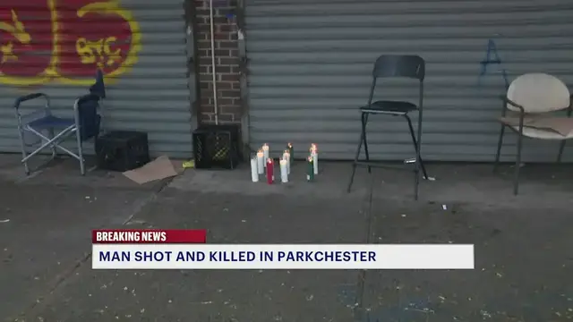 Video thumbnail for Police: Man shot in the head in front of Parkchester liquor store was targeted by gunman 