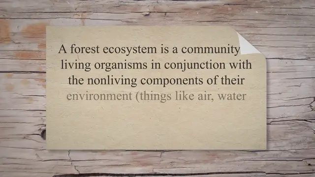 Video thumbnail for Forest Ecosystem: Definition, Characteristics, and Threats