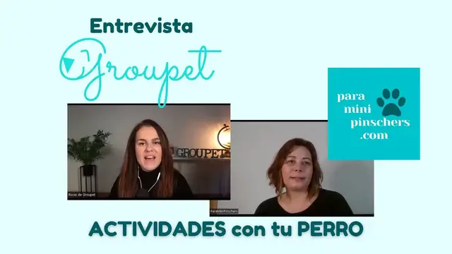 'Video thumbnail for ACTIVIDADES en grupo con perros🐕(ENTREVISTA a Rocío de Groupet)❤️'