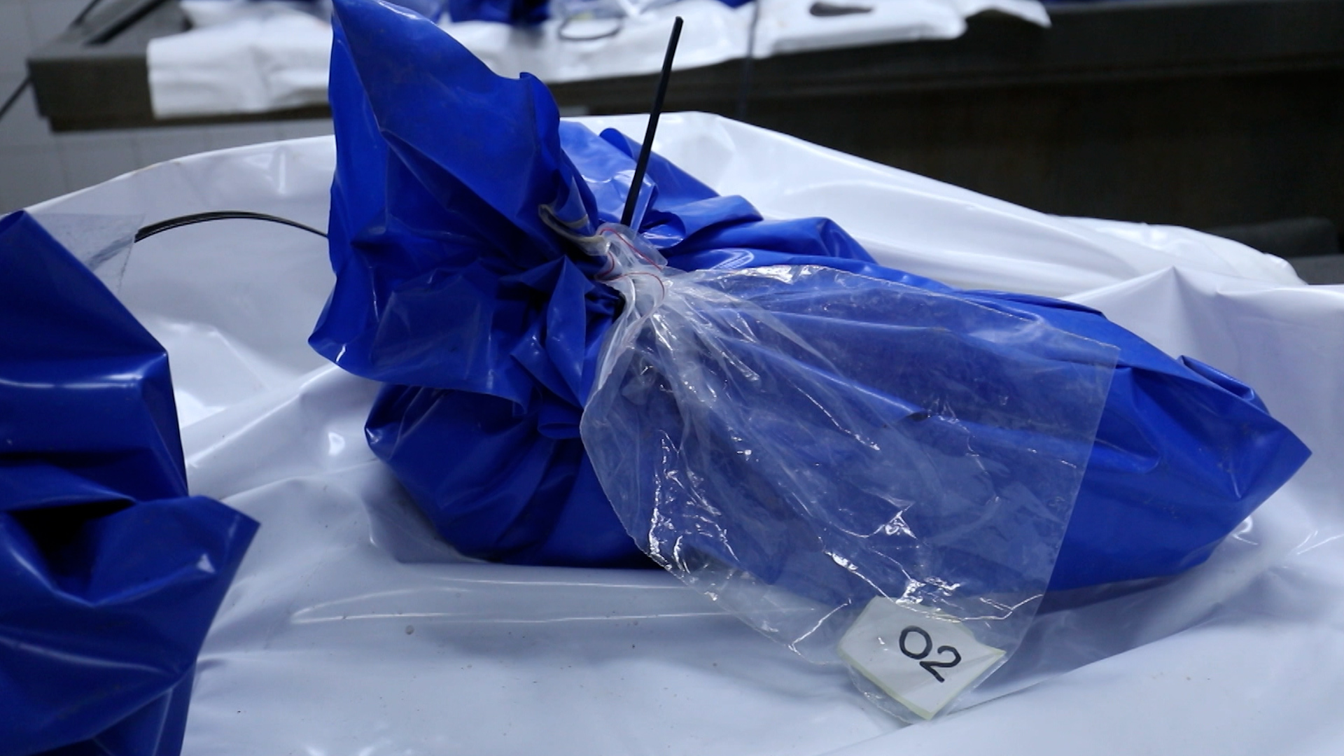 Video thumbnail for Israel returns unidentified Palestinian bodies to Gaza