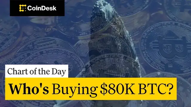 Video thumbnail for Bitcoin Whales Buy the Dip as Retail Capitulates Amid Fear