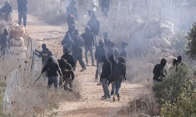 Video thumbnail for Palestinian olive trees torched as settler pogroms escalate during harvest