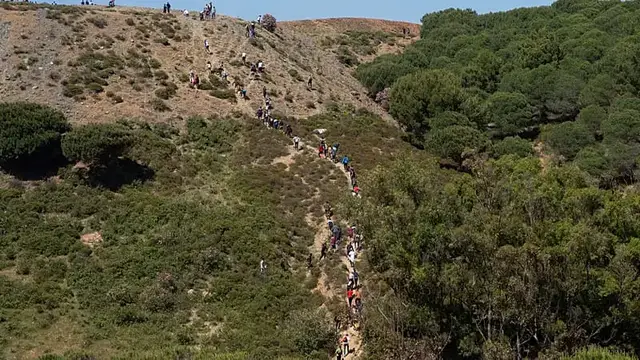 Video thumbnail for Rare bird species thrives in Morocco after succesful breeding program