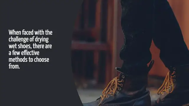 Video thumbnail for How To Dry Wet Shoes