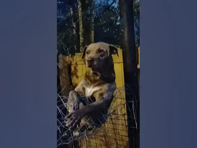 Video thumbnail for February 10, 2022