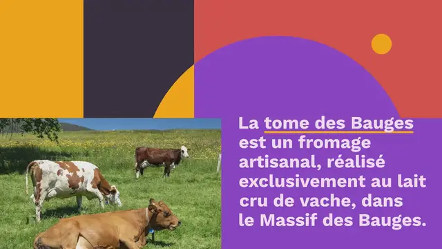 Video thumbnail for Tome des Bauges, une tome de montagne au lait cru de vache