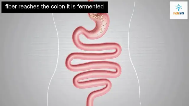 Video thumbnail for Powerful Beans: Natural Cancer Fighters and Health Protectors