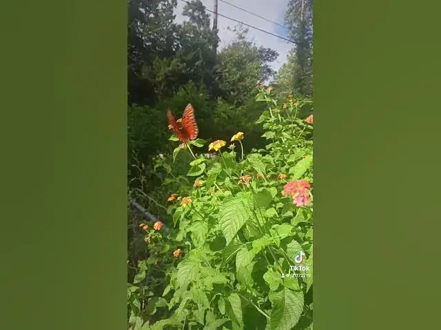 Video thumbnail for September 20, 2025