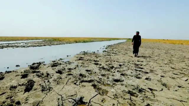'Video thumbnail for Iraq: Drought threatens herders’ millennia-old way of life'