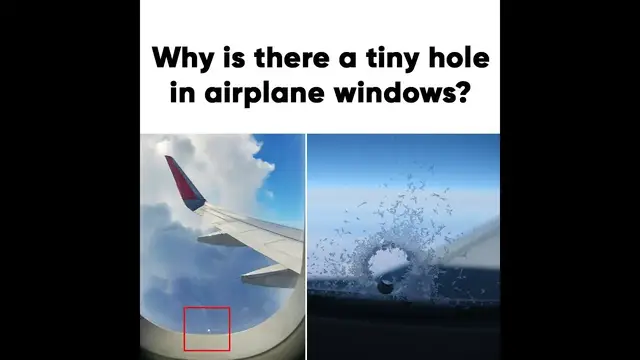 Video thumbnail for 10 Interesting Facts You're too Lazy to Google Pt. 2