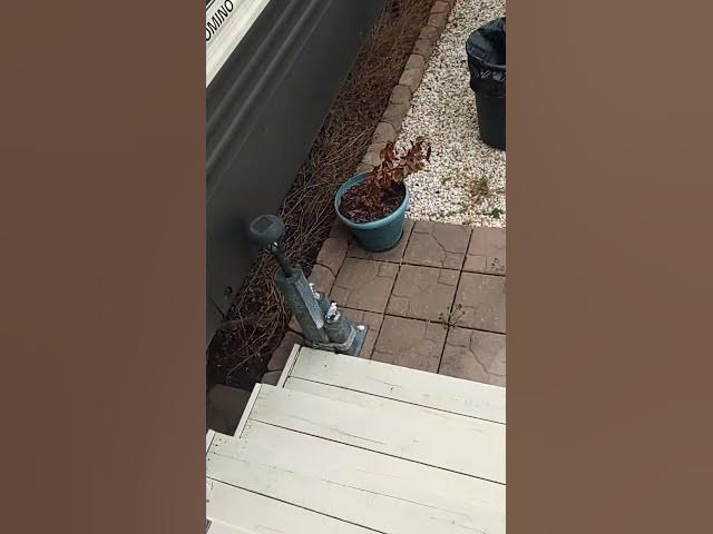 Video thumbnail for March 14, 2025