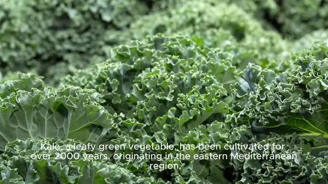 Video thumbnail for Kale Recipe