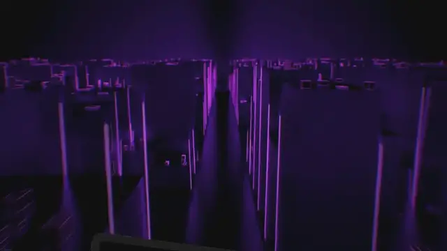 Video thumbnail for Feeding Your Pet Beetle: A Quick Guide