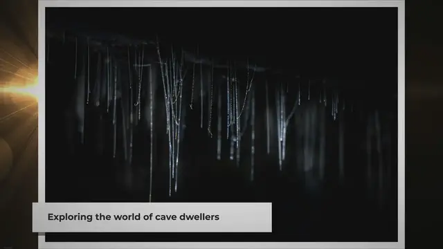 'Video thumbnail for Animals That Call Caves Home'