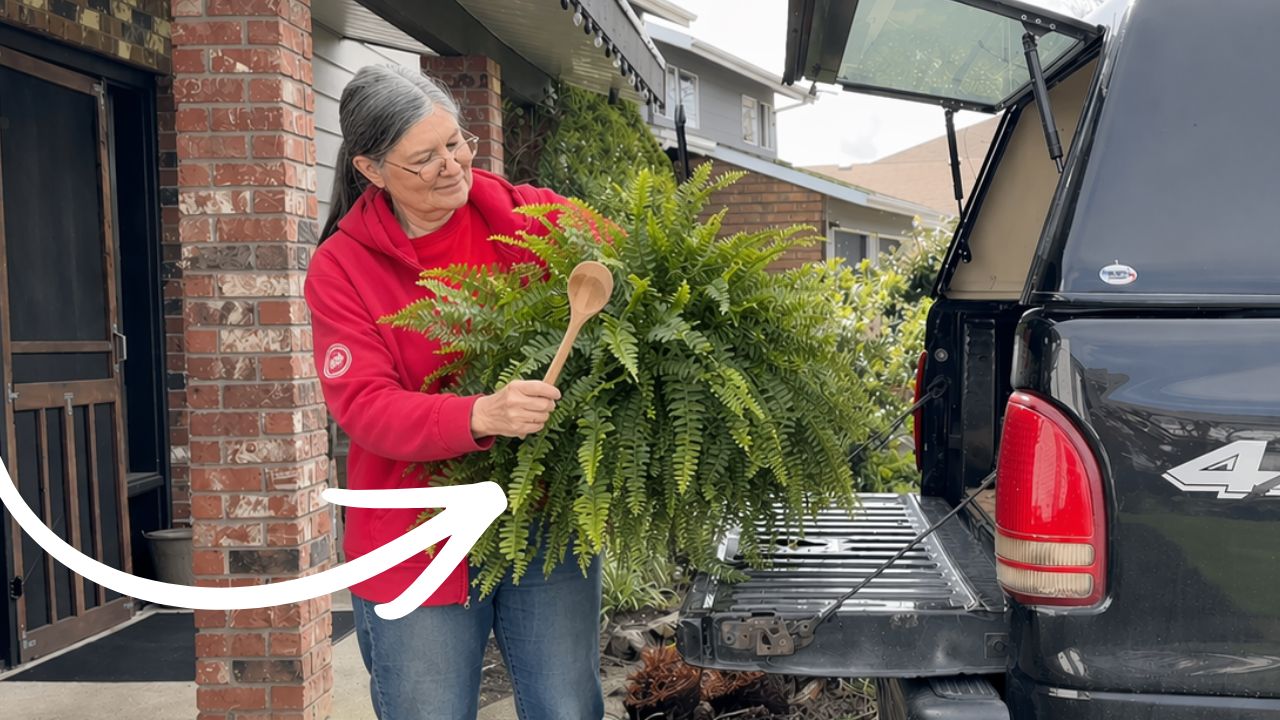 Video thumbnail for Here's why everyone is putting wooden spoons on their patios!