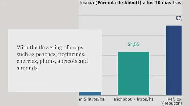 Video thumbnail for Brown rot in stone fruit trees