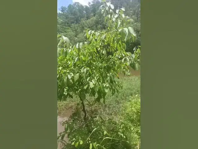 Video thumbnail for September 20, 2025