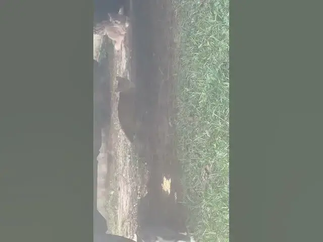 Video thumbnail for September 20, 2025