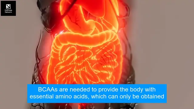 Video thumbnail for What Happens When You Use BCAA for a Month? Find Out Now!