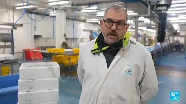 Video thumbnail for Five years after the UK left EU market, the impact on French fishermen