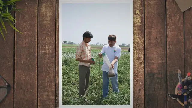 Video thumbnail for Thriving Harvests: Unlocking the Power of Mixed Farming for Sustainable Crops and Soil Health