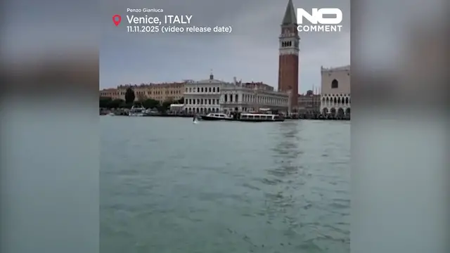 'Video thumbnail for Dolphin Mimmo thrills Venice but faces danger in the lagoon'