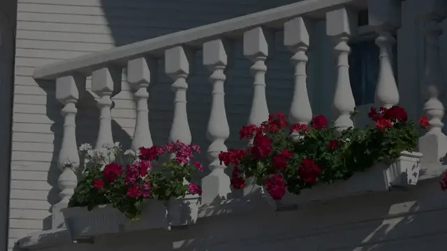 Video thumbnail for Best Flowers For Hanging Baskets